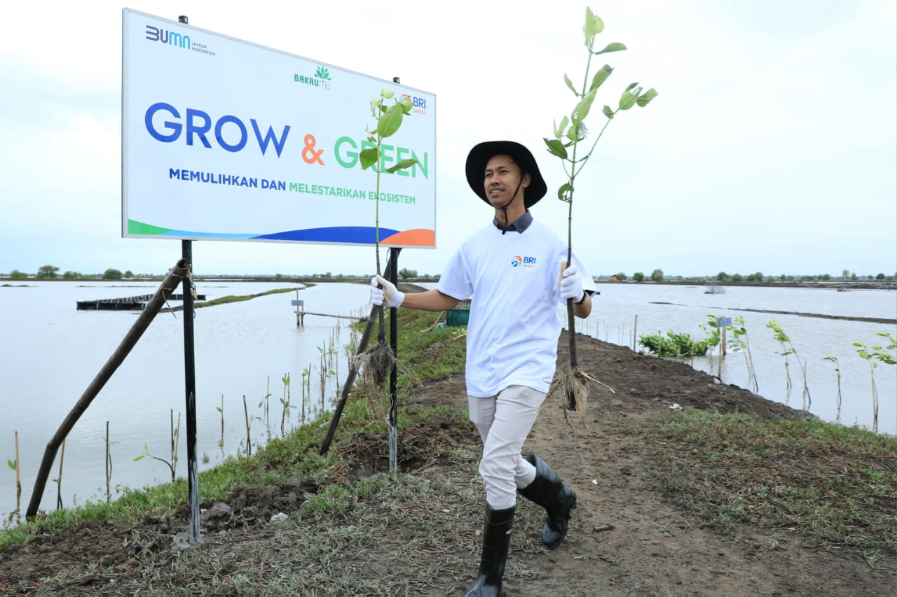 BRI Masuk Daftar CNBC Indonesia Green Business Ratings 2024