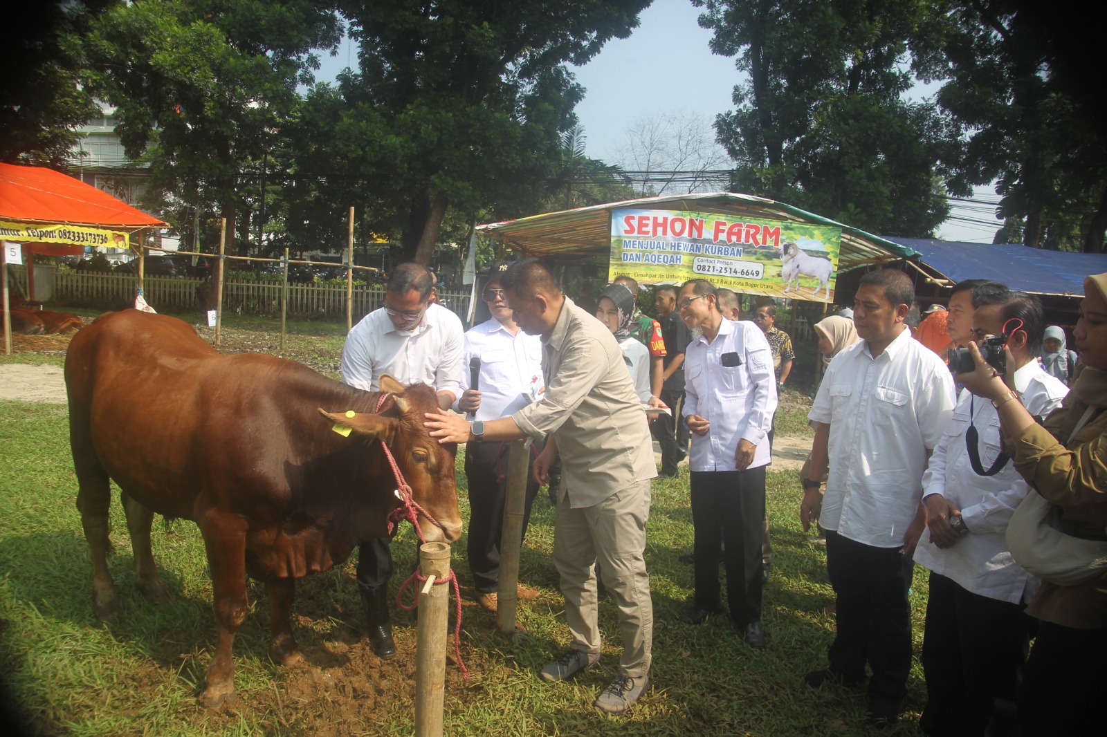 Bursa hewan qurban di halaman kantor Pusat Standarisasi Instrumen Pertanian Kesehatan Hewan Jl Pajajaran Bogor, Selasa (10/6/24).