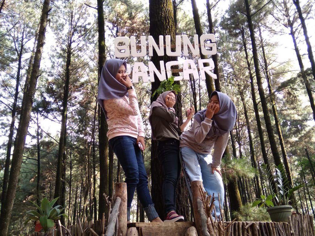 Pesona Gunung Pancar, wisata alam di Bogor yang selalu memukau