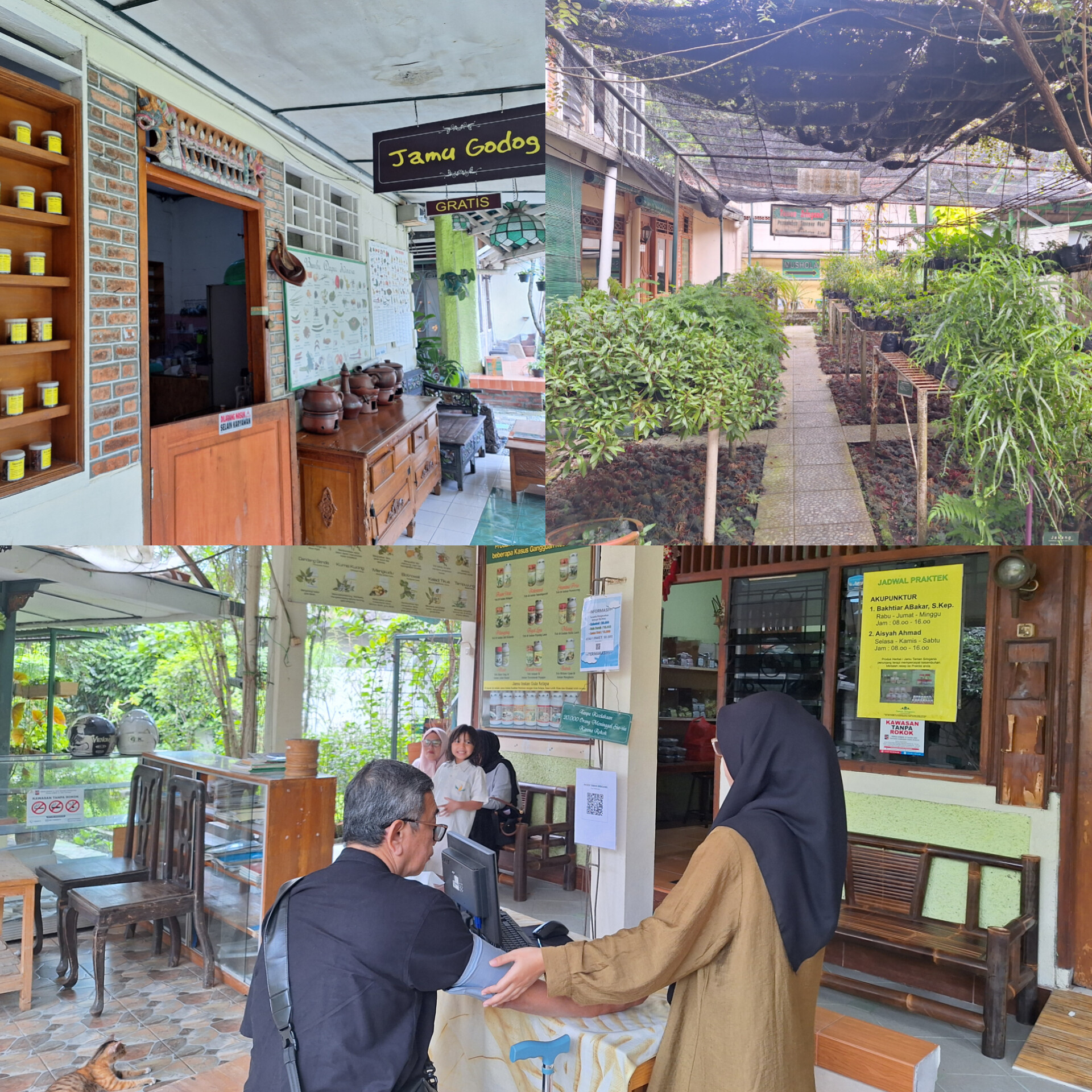 Taman Sringanis Tak Pernah Sepi Pengunjung, Taman Wisata Herbal Sekaligus Pengobatan Alami yang Ada di Bogor