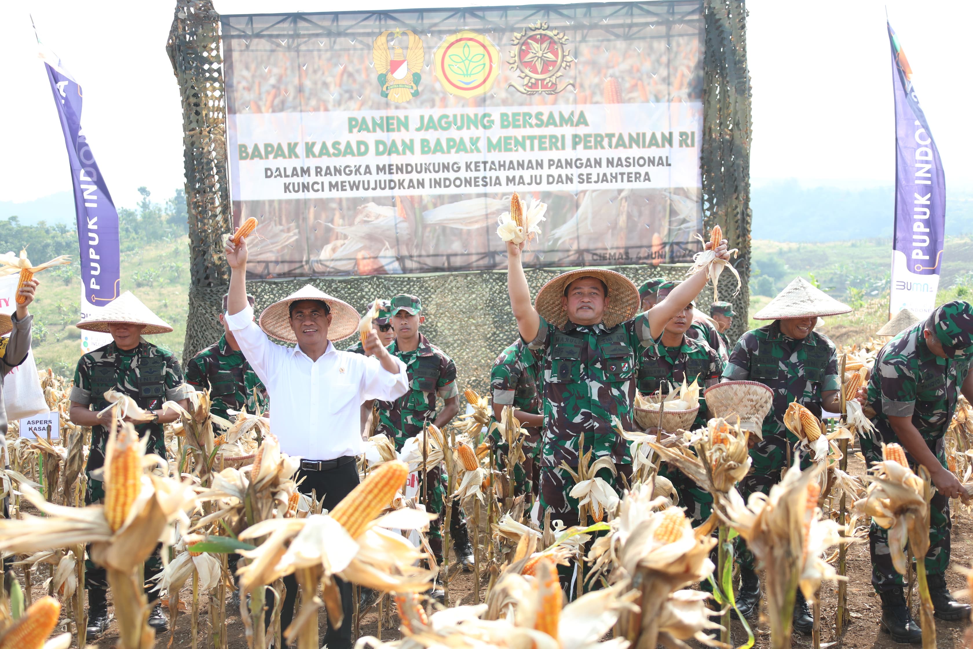 Mentanbersama KSAD saat panen singkong dan jagung di lahan pertanaman Kostrad di Desa Ciemas, Kecamatan Neglasari, Kabupaten Sukabumi, Selasa (4/6/2024).