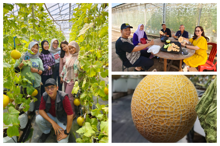 Kebun Melon Made Fresh, yang berlokasi di Jalan Paving, Kelurahan Cimahpar, Kecamatan Bogor Utara, Kota Bogor, tepatnya di seberang Gor Mini Bogor Utara.