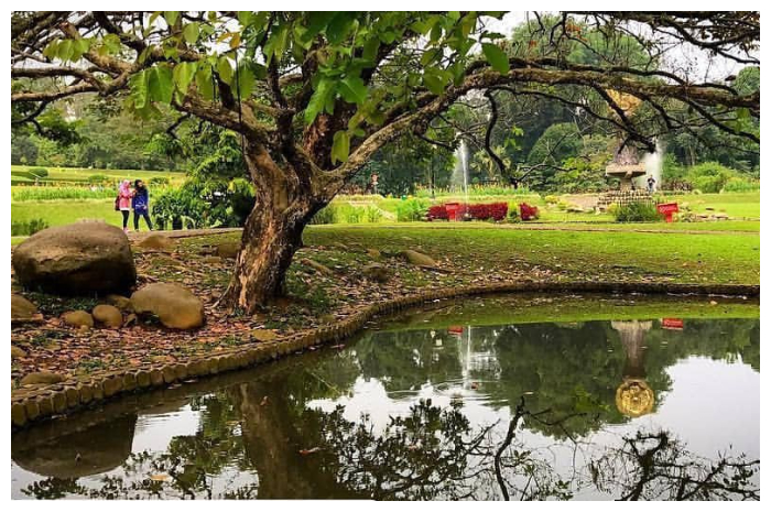 Wisatawan saat berkunjung ke Kebun Raya Bogor (KRB).