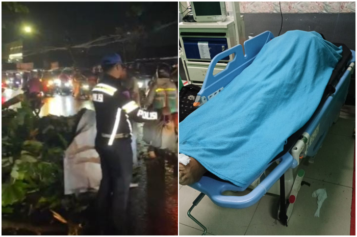 Lokasi pohon tumbang di Jalan Kedunghalang, Cibuluh, Kecamatan Bogot Utara Rabu (12/6/2024). Satu pemotor tewas tertimpa.