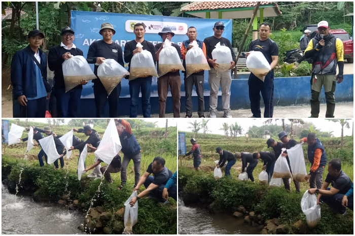 Jurnalis Fishing Indonesia (JFI) dan Pemerintah Kabupaten Bogor melepasliarkan ribuan benih ikan biota sungai di aliran Sungai Pamijahan, Kabupaten Bogor, Minggu (16/6/2024).