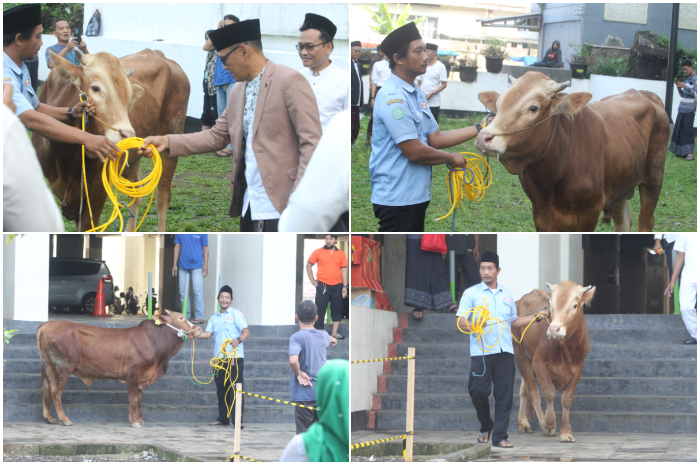 Pj Wali Kota Bogor Hery Antasari secara simbolis menyerahkan hewan qurban kepada  DKM Masjid Agung Kota Bogor.