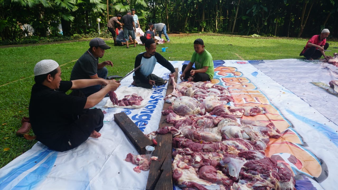 PT Sejahtera Eka Graha bagi hewan kurban di Kawasan Sport Club Bogor Raya.