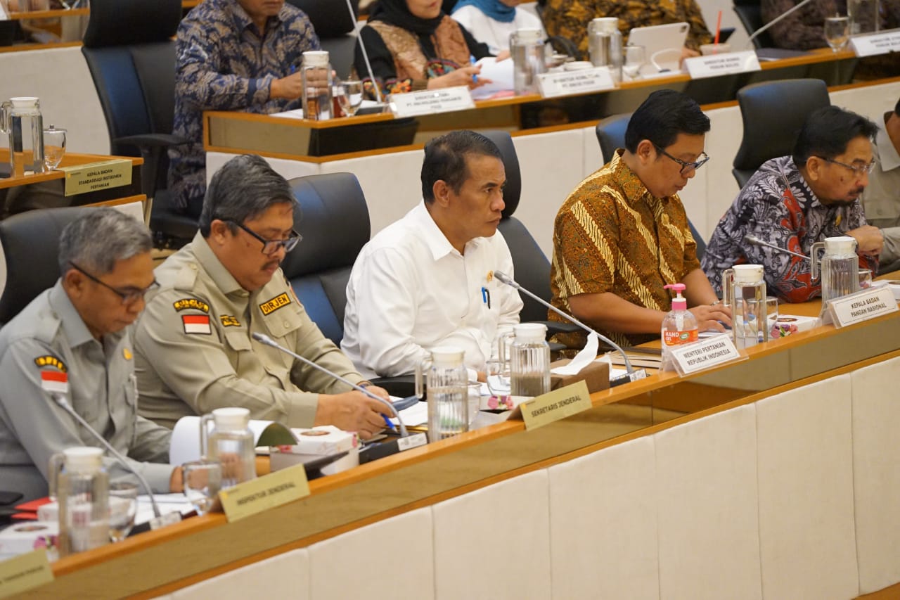 Menteri Amran saat Rapat Kerja dengan Komisi IV DPR RI di Jakarta, Kamis (20/6/2024).