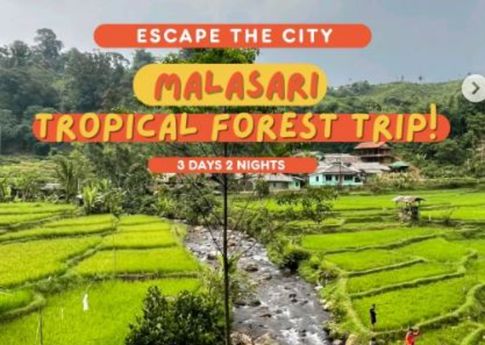 Open trip jelajahi jantungnya Gunung Halimun Salak Bogor.
