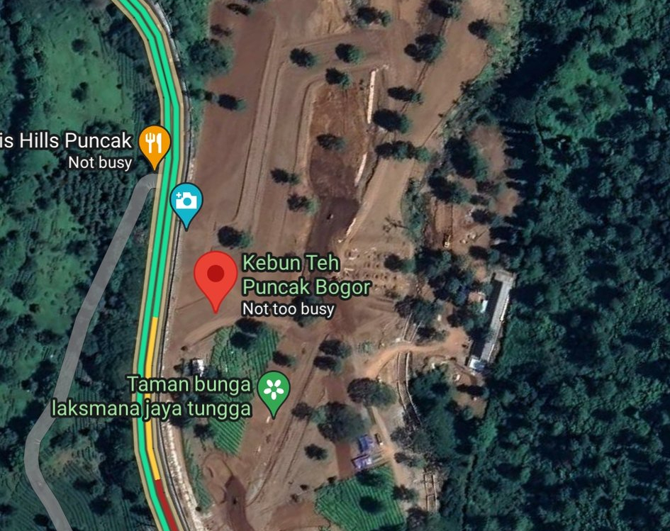 Penggundulan lahan kebun teh di Kawasan Puncak Bogor.