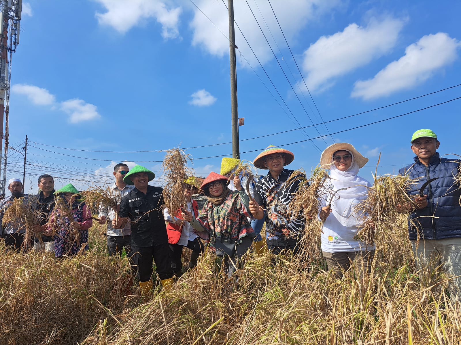 Pemkot Bogor panen raya Padi Nutrizinc di Kelurahan Pasirjaya, Kecamatan Bogor Barat, Jumat (28/6/2024).