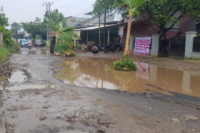Warga Cikeas kembali gelar aksi menanam pohon pisang dan memasang spanduk buntut protes kepada pemerintah terhadap jalan rusak Senin (1/7/2024).