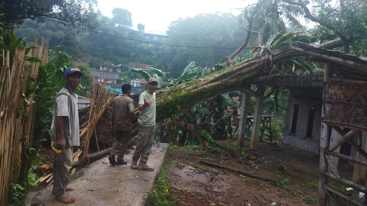 Pohon tumbang menimpa rumah warga Desa Cileungsi, Kecamatan Ciawi, Kabupaten Bogor.