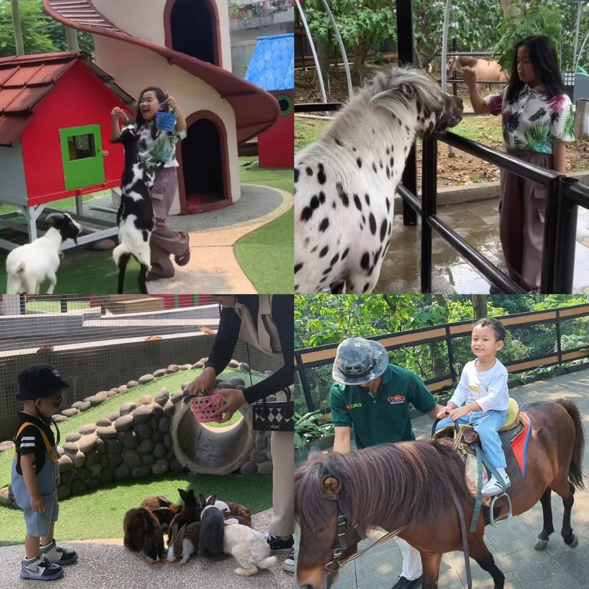 Pet Zoo Bogor tawarkan diskon di libur sekolah