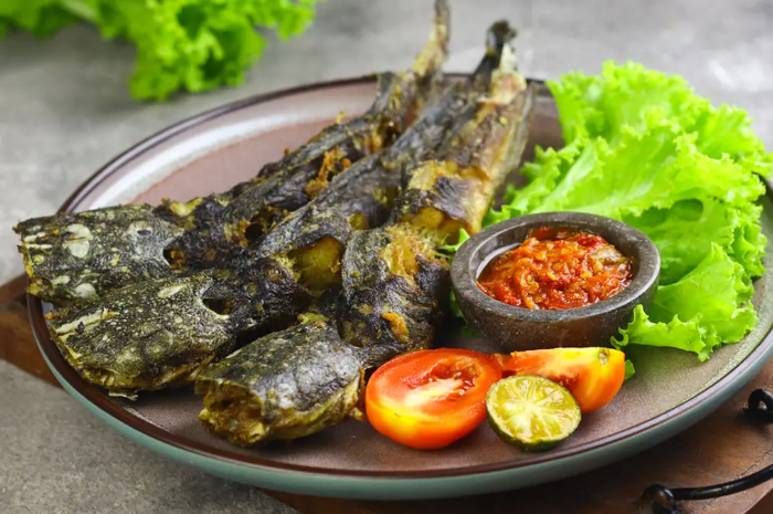 Ilustrasi Ikan Lele