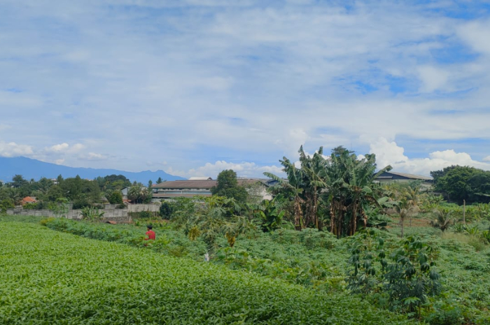 Lokasi yang direncanakan menjadi tempat pembangunan Junction Salabenda.
