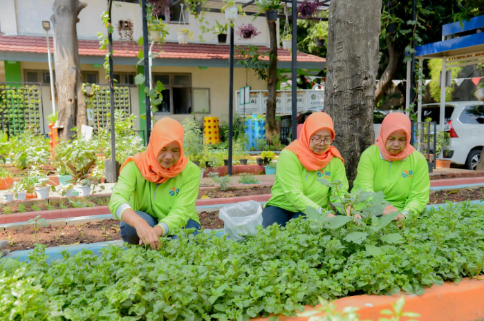 Kawasan Cempaka Putih Barat sekarang hijau dan produktif berkat upaya warga yang tergabung dalam Kelompok Tani (Poktan) Dahlia 07 dan didukung oleh program BRINita (BRI Bertani di Kota) dari BRI.