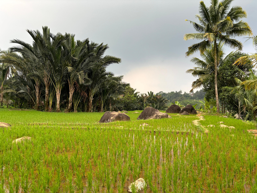 Kampung Adat Urug Bogor