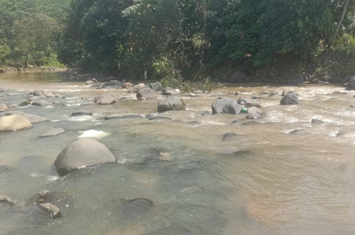 Penampakan sebagian aliran Sungai Cikaniki, Nanggung Kabupaten Bogor berwarna cokelat.