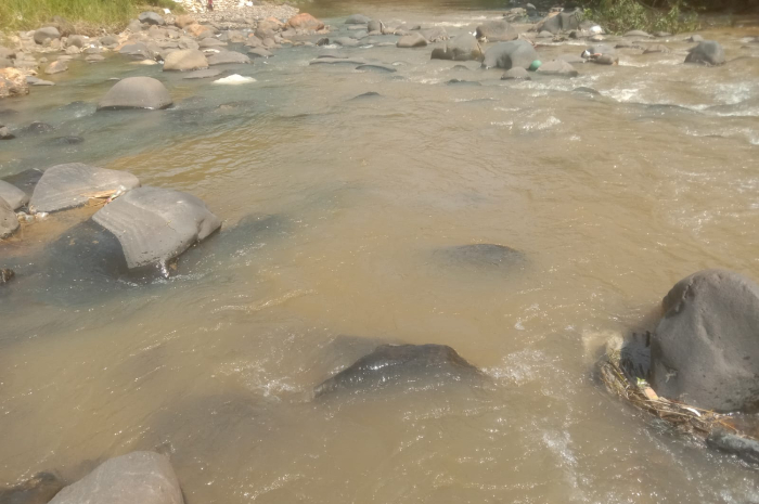Air Sungai Cikaniki Nanggung, Bogor yang berubah warna menjadi cokelat diduga tercemar.
