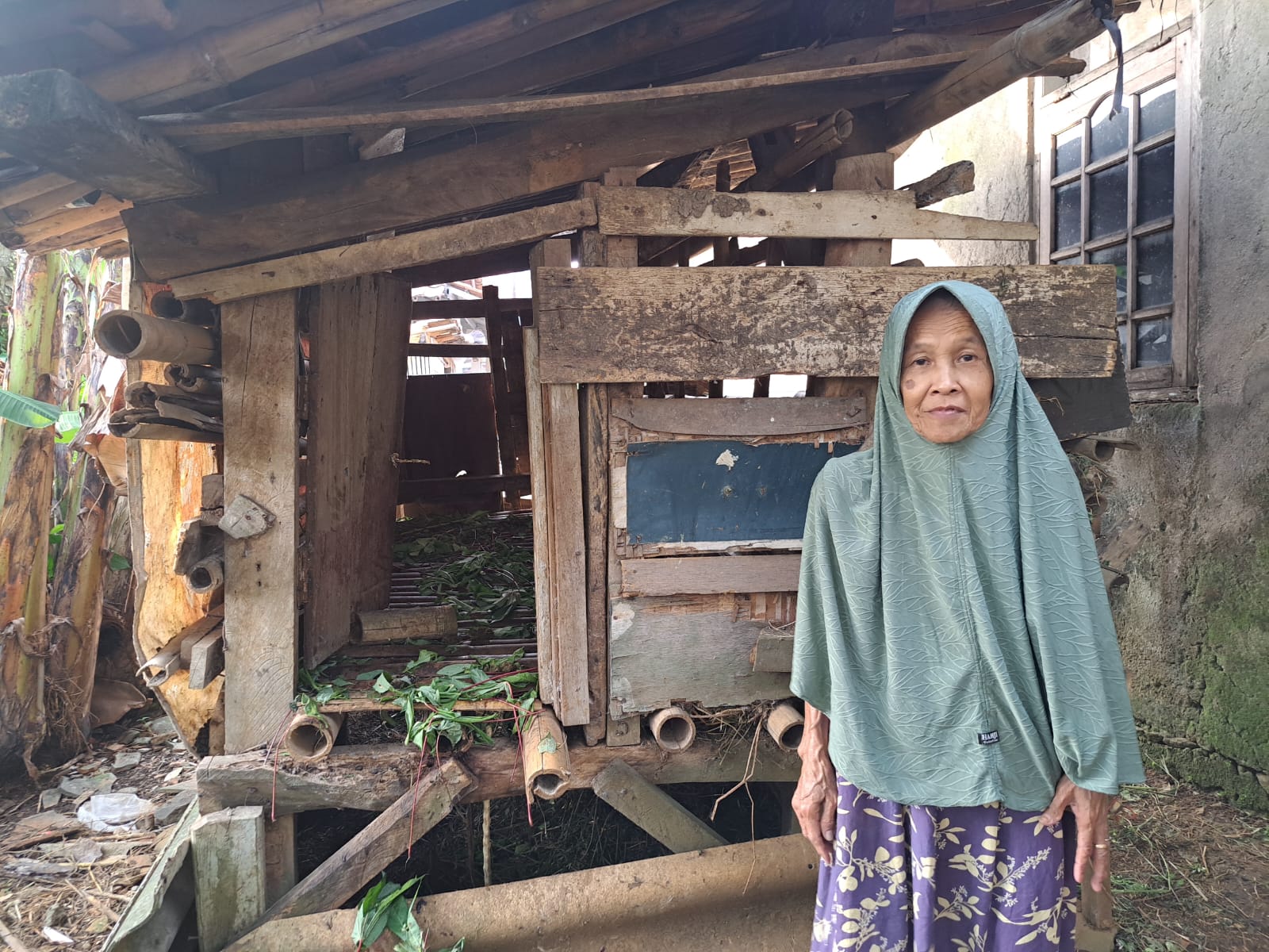 Unas, lansia di Bogor memperlihatkan kandang kambing miliknya dan suami yang kosong sehabis dimaling.