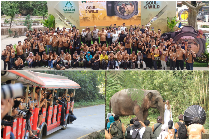 Road show terakhir kompetisi foto dan video satwa&nbsp;IAPVC 2024 di Taman Safari Bogor, Kecamatan Cisarua, Sabtu (28/7).