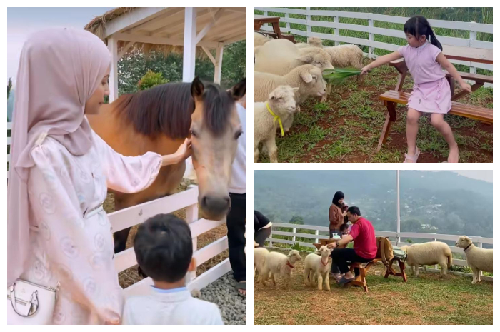 Wooly Sheep Cafe & Resto yang berlokasi di Jl. Gunung Batu, Desa Bojong Koneng, Kecamaan Babakan Madang, Kabupaten Bogor, Jawa Barat 16810.