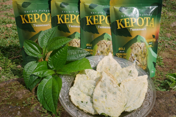 Kemasan baru produk Keripik Pohpohan Tamansari