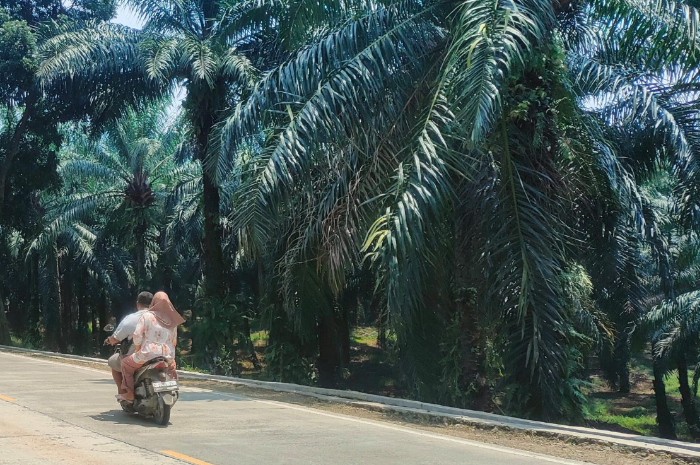 Jalan Raya Cigudeg yang rawan kecelakaan.