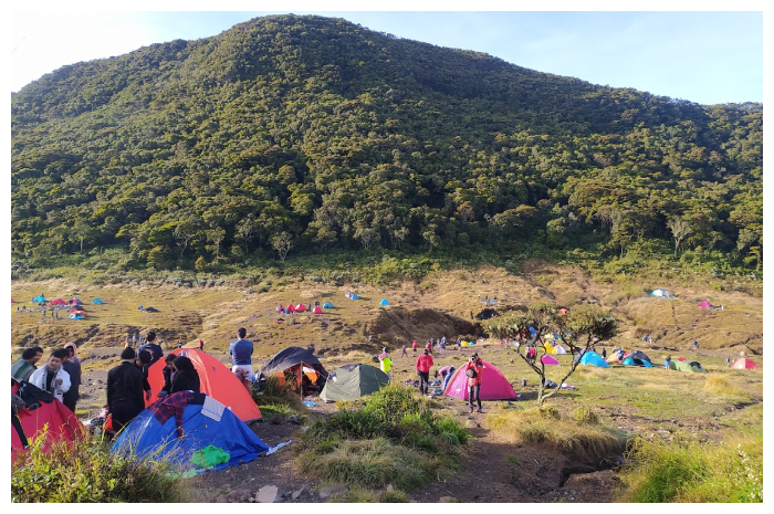 Alun-Alun Suryakencana di Gunung Gede Pangrango. Pendaki ke gunung itu kini wajib menggunakan gelang RFID.