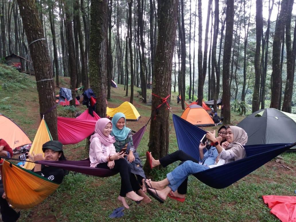 Camping di Curug Cipeuteuy Bogor, Suguhkan Indahnya Hutan Pinus