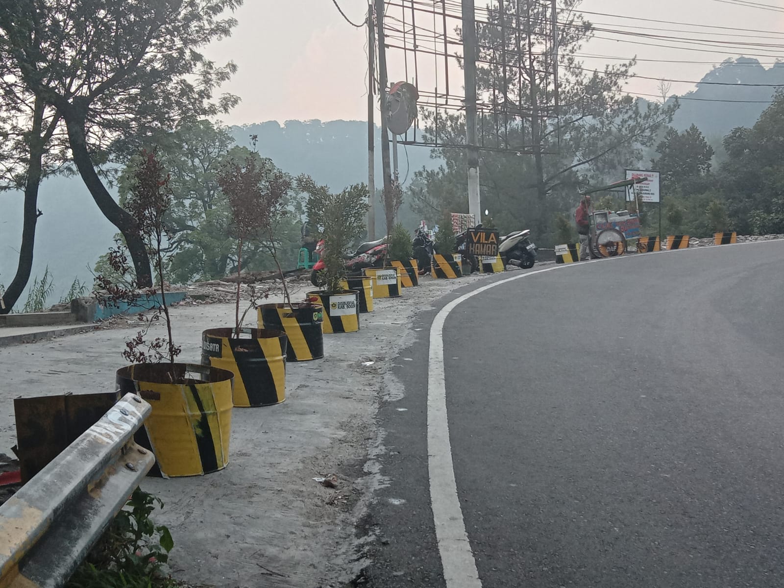 Pohon di bekas lahan pembongkaran lapak pedagang di Kawasan Puncak Bogor malah mati kekeringan.