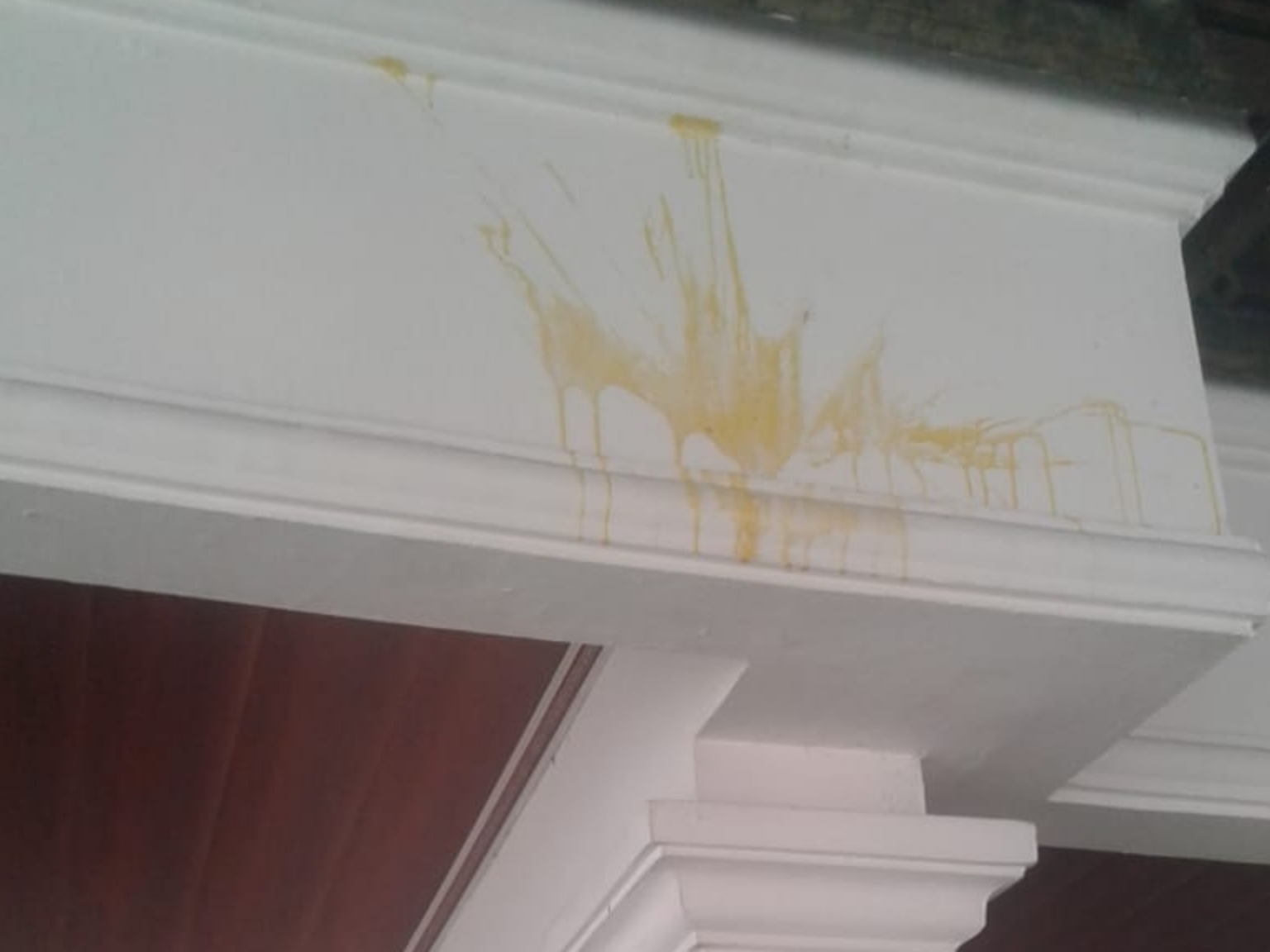 Rumah milik Anggota DPRD Kota Bogor Devie P Sultani mendapatkan teror.