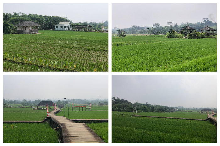 Agro Eduwisata Organik Mulyaharja yang terletak di Kampung Ciharashas RT 05/RW 01, Kelurahan Mulyaharja, Kecamatan Bogor Selatan, Kota Bogor, Jawa Barat.