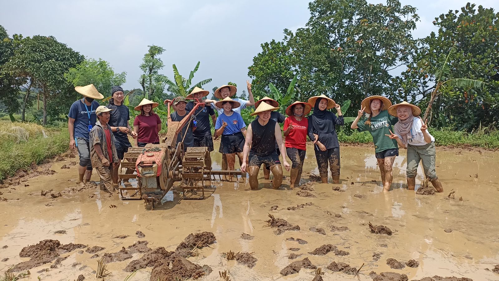 Aktivits wisata seru di Agro Eduwisata Organik Mulyaharja, Kampung Ciharashas, Kelurahan Mulyaharja, Kecamatan Bogor Selatan, Kota Bogor, Jawa Barat.