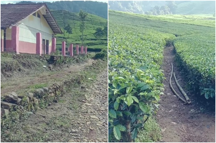 Kampung Cikoneng yang cukup terpencil di kawasan Puncak Bogor dengan berbagai kelebihannya.