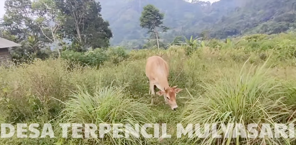 Pemandangan di desa terpencil di Kabupaten Bogor bernama Desa Mulyasari.