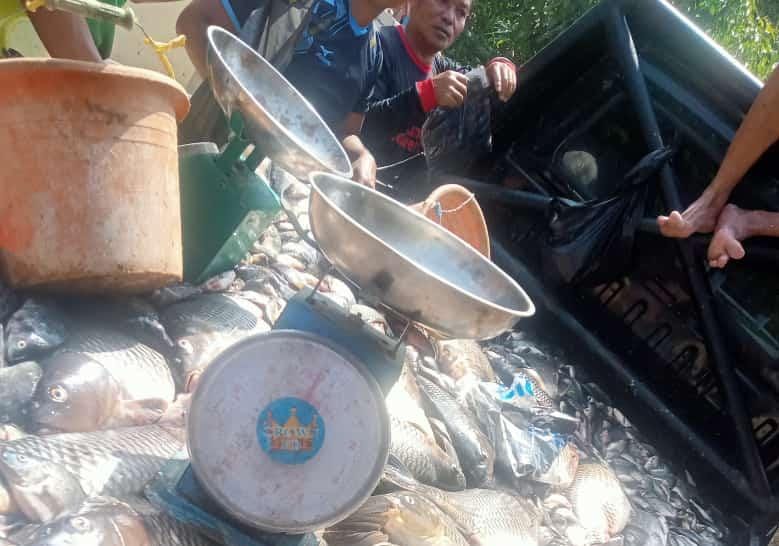 Ikan diduga tercemar limbah dijual di Bogor