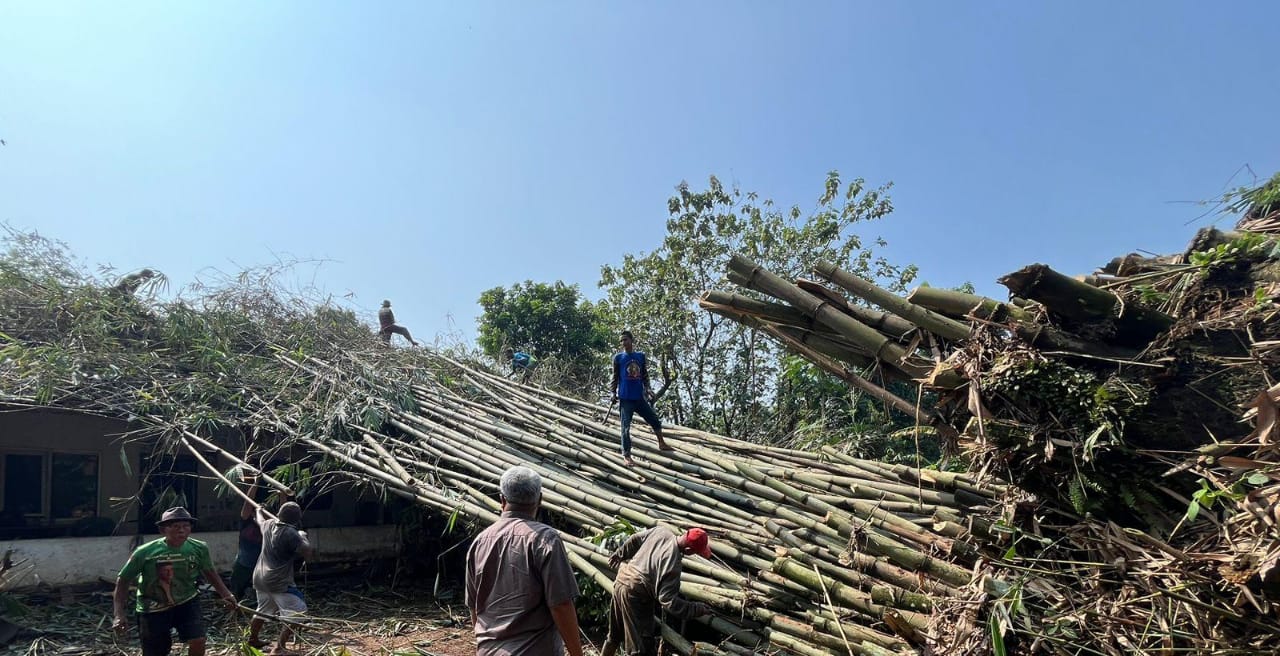 Evakuasi pohon bambu yang menimpa rumah warga di Gunungsindur Bogor akibat angin kencang.