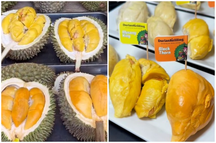 Durian Keliling di Jalan Raya Padjajaran, Baranangsiang.