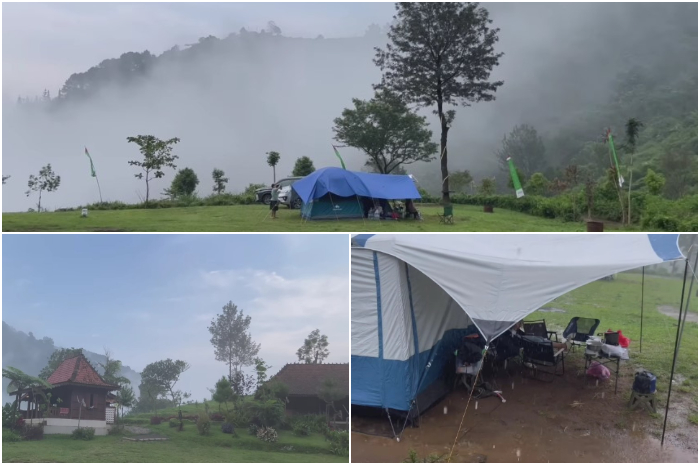 Rekomendasi camping di Puncak Bogor adalah Pinus Ecopark.