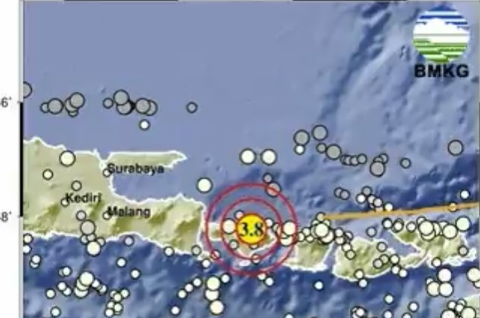 BMKG mengungkapkan gempa mengguncang bali, Senin 16 September 2024.