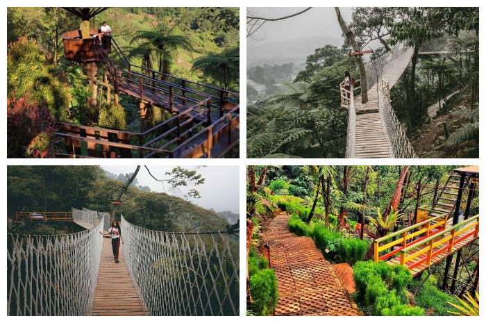 Bukit Halimun yang berlokasi di Desa Gunung Sari, Kecamatan Pamijahan, Kabupaten Bogor.