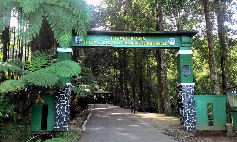 Ilustrasi dugaan pungli di Kawasan TNGHS Bogor