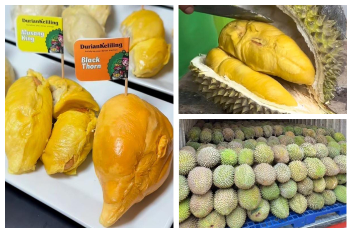 Durian Keliling yang berlokasi di Jl. Raya Pajajaran No. 70, Kelurahan Baranangsiang, Kecamatan Bogor Timur, Kota Bogor.