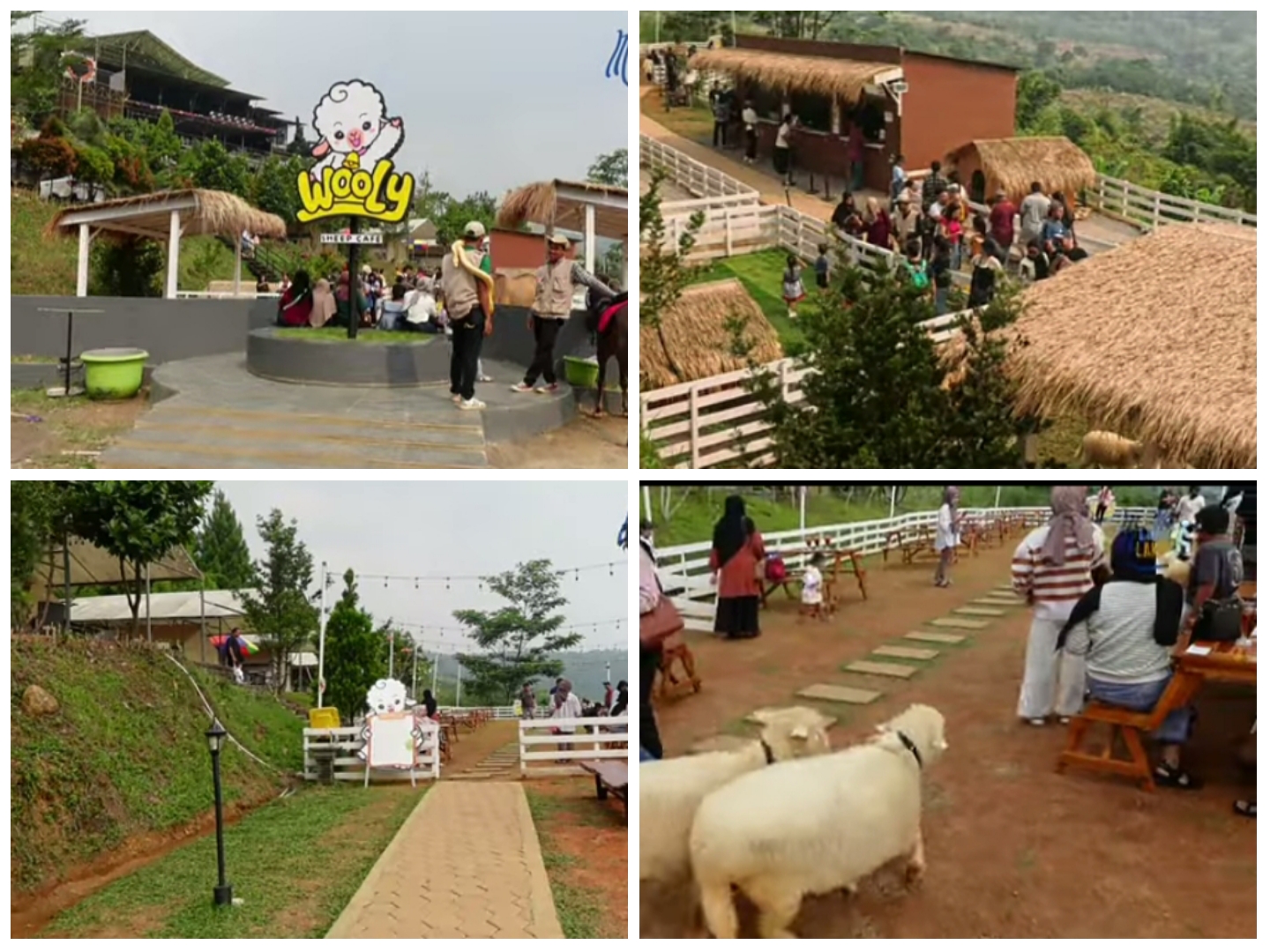 Wooly Sheep Resto Cafe yang terletak di Jalan Gunung Batu, Desa Bojong Koneng, Kecamatan Babakan Madang, Kabupaten Bogor.