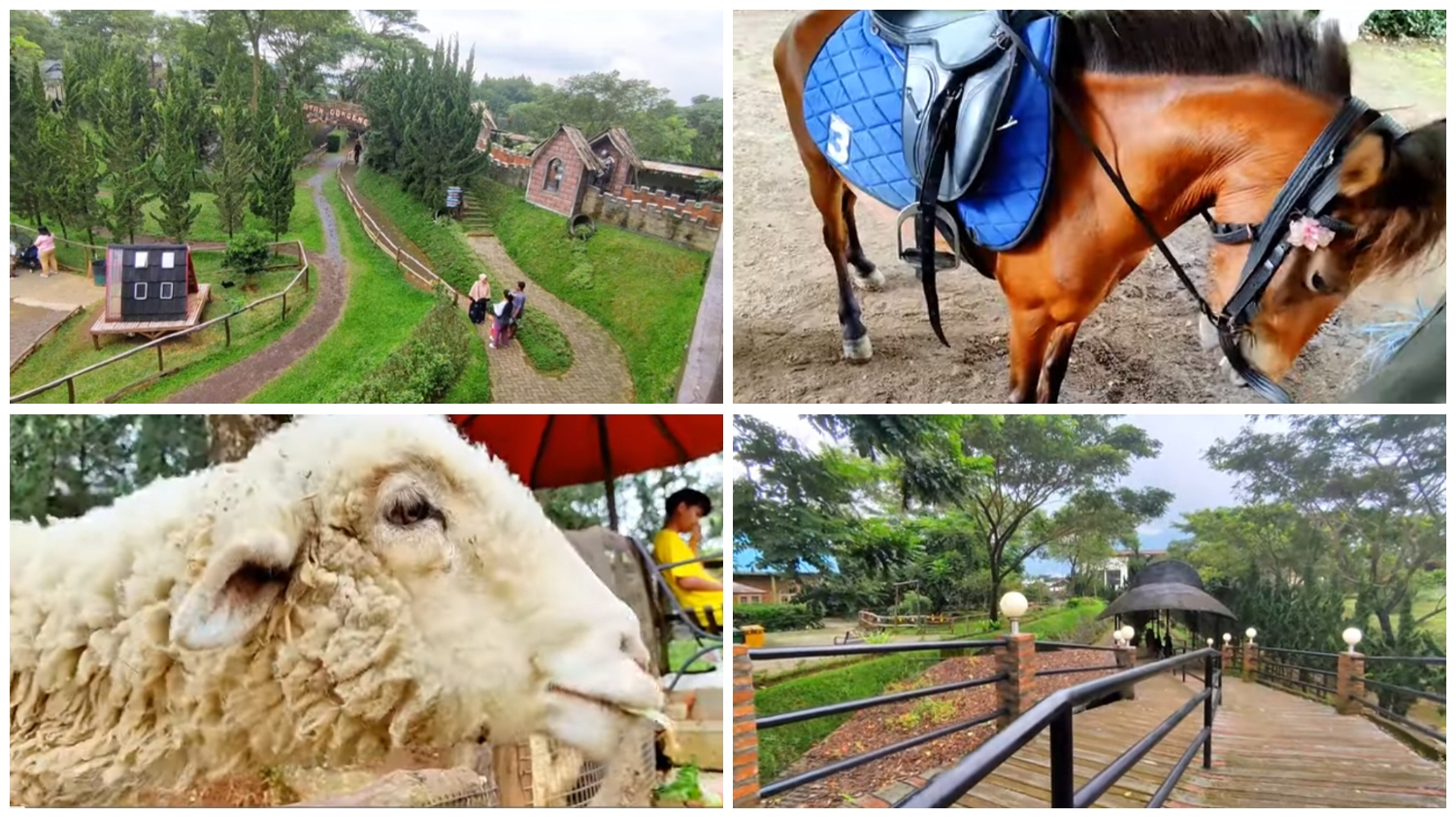 The Ranch Cisarua yang berlokasi di Jl. Raya Puncak Gadog No.KM 77, RW.5, Desa Kopo, Kecamatan Cisarua, Kabupaten Bogor, Jawa Barat 16750.