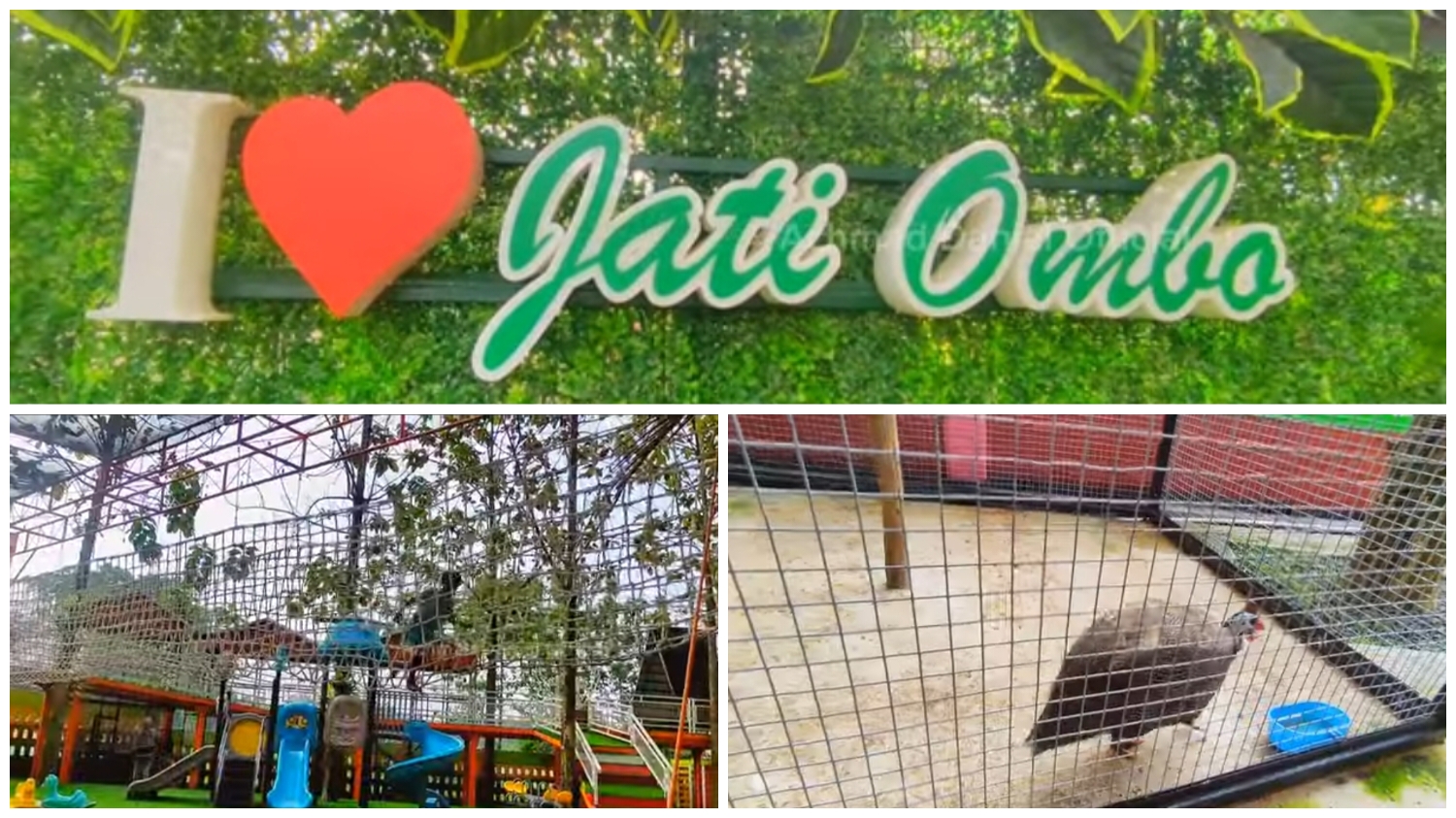 Lokasi wisata baru Jati Ombo di Gg. Paralon, Desa Jagabaya, Kecamatan Parung Panjang, Kabupaten Bogor, Jawa Barat 16360.