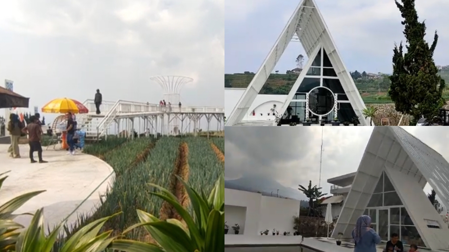 Artala Agroeduwisata yang berlokasi di Desa Sindangjaya, Kecamatan Cipanas, Kabupaten Cianjur, Jawa Barat 43253.
