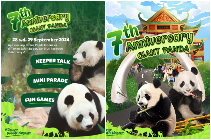 Taman Safari Bogor mengadakan mini parede dalam rangka Anniversary ke-7 Giant Panda.&nbsp;